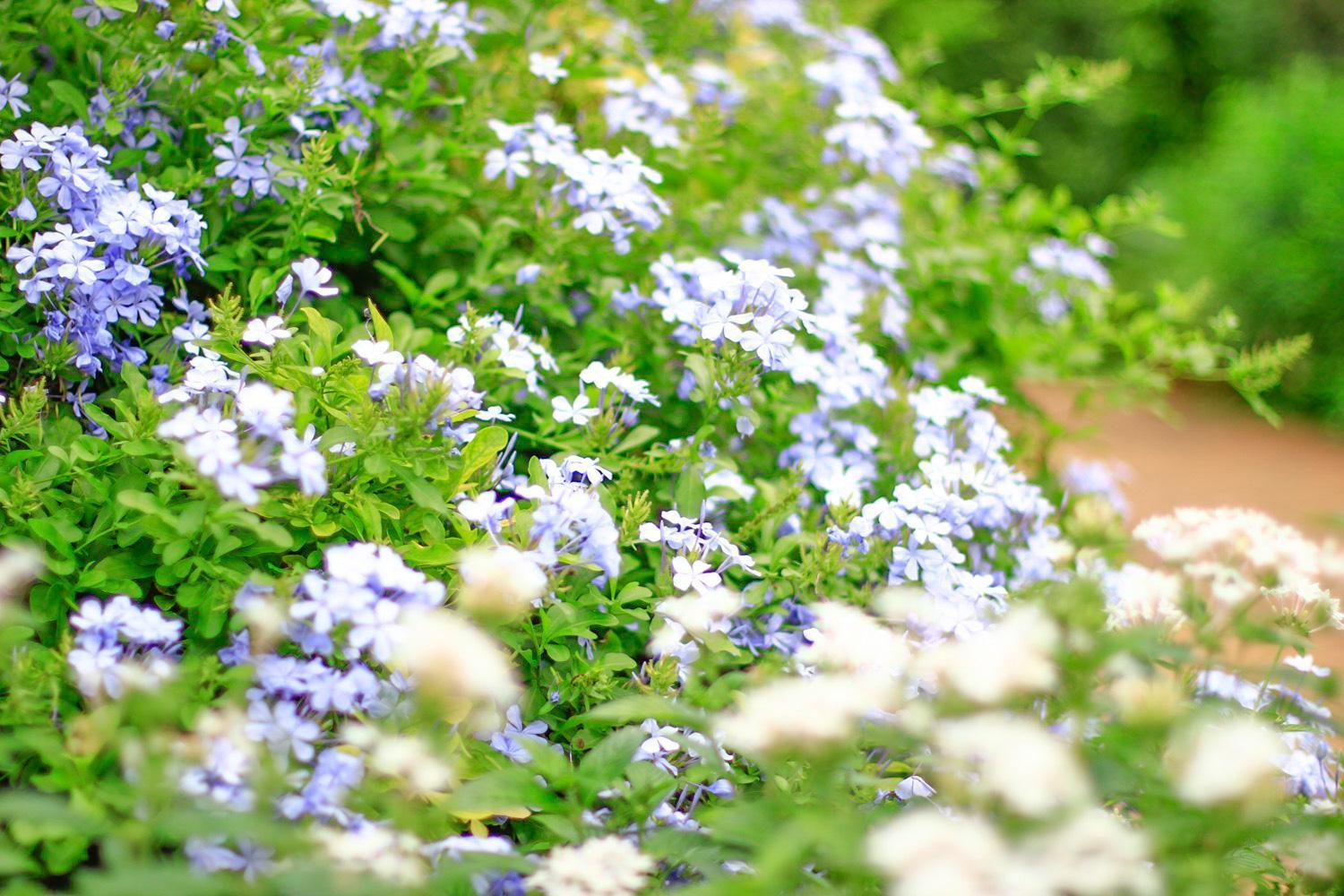 Pottery Flower B&B Jiji Eksteriør bilde